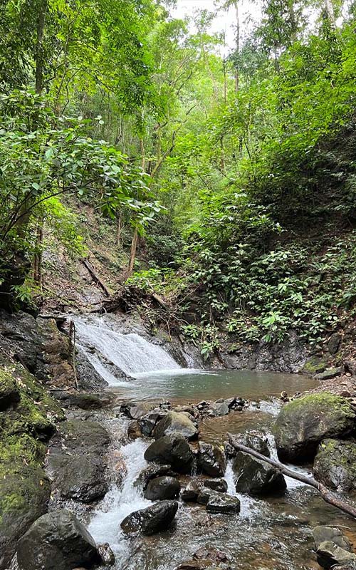 4x4 Waterfalls and Jungle Experience in Jaco Costa Rica