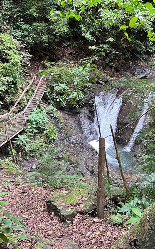4x4 Waterfalls and Jungle Experience in Jaco Costa Rica
